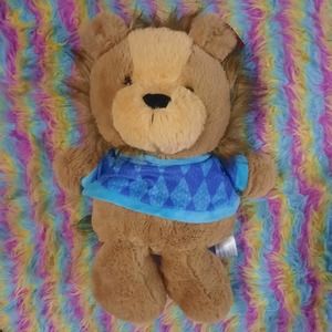 NWT 2021 Wondershop Lion with shirt fuzzy soft cuddly Plush Stuffed Animal 15"